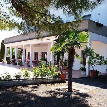 Belvedere 2*